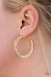 HAUTE Glam - Gold - Paparazzi Hoop Earrings #2876 (D)