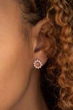 Richly Resplendent - Pink - Paparazzi Post Earrings