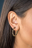 Plainly Panama - Brass - Paparazzi Hoop Earrings